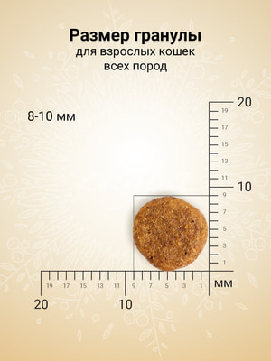 Повседневные корма Craftia Сухой корм CRAFTIA HARMONA для взрослых кошек из рыбы северного моря 1,4 кг (вид 12) Повседневные корма Craftia Сухой корм CRAFTIA HARMONA для взрослых кошек из рыбы северного моря 1,4 кг (фото, вид 12)