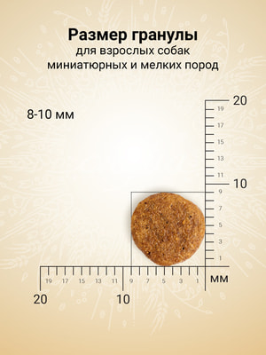   Craftia   CRAFTIA NATURA            7  (,  4)