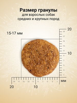   Craftia   CRAFTIA NATURA            640  (,  10)