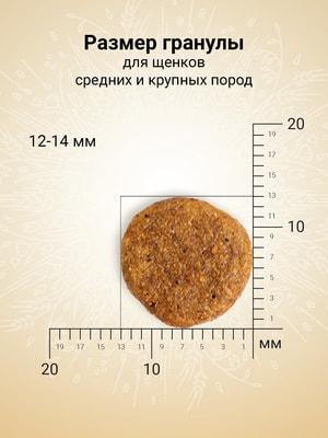   Craftia   CRAFTIA NATURA           2  (,  5)