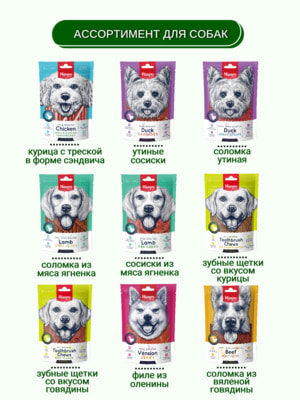 Повседневные Wanpy Wanpy Dog Лакомство для собак "Зубные щетки со вкусом курицы" 100 г (вид 11) Повседневные Wanpy Wanpy Dog Лакомство для собак "Зубные щетки со вкусом курицы" 100 г (фото, вид 11)