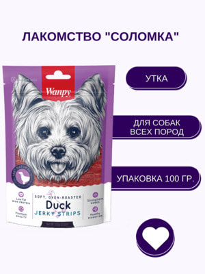 Повседневные Wanpy Wanpy Dog утиная соломка 100 г (вид 5) Повседневные Wanpy Wanpy Dog утиная соломка 100 г (фото, вид 5)