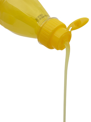      Iv San Bernard ISB Fruit of the Groomer Ginger&Elderbery          1  (,  8)