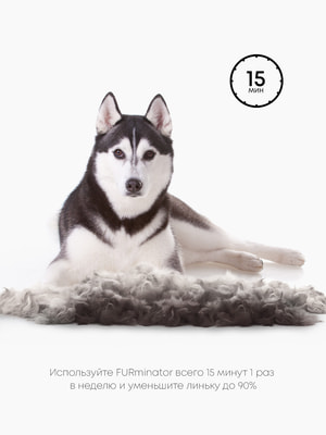    FURminator  FURminator L       (,  17)