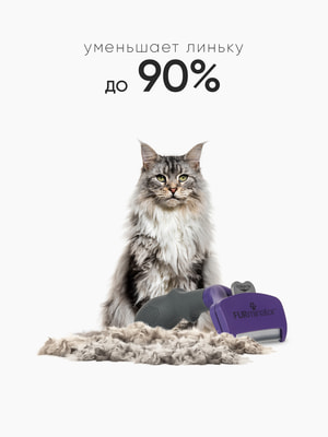 Инструменты и аксессуары FURminator Фурминатор FURminator M/L для больших кошек c длинной шерстью (вид 2) Инструменты и аксессуары FURminator Фурминатор FURminator M/L для больших кошек c длинной шерстью (фото, вид 2)