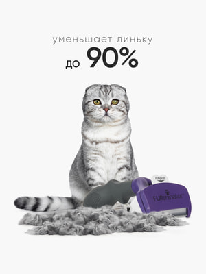 Инструменты и аксессуары FURminator Фурминатор FURminator M/L для больших кошек c короткой шерстью (вид 2) Инструменты и аксессуары FURminator Фурминатор FURminator M/L для больших кошек c короткой шерстью (фото, вид 2)