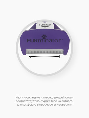Инструменты и аксессуары FURminator Фурминатор FURminator M/L для больших кошек c короткой шерстью (вид 7) Инструменты и аксессуары FURminator Фурминатор FURminator M/L для больших кошек c короткой шерстью (фото, вид 7)