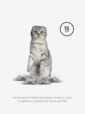 Инструменты и аксессуары FURminator Фурминатор FURminator M/L для больших кошек c короткой шерстью (вид 16) Инструменты и аксессуары FURminator Фурминатор FURminator M/L для больших кошек c короткой шерстью (фото, вид 16)