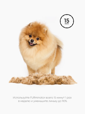    FURminator  FURminator XS       (,  5)