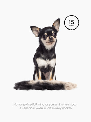 Инструменты и аксессуары FURminator Фурминатор FURminator XS для миниатюрных собак с короткой шерстью (вид 17) Инструменты и аксессуары FURminator Фурминатор FURminator XS для миниатюрных собак с короткой шерстью (фото, вид 17)