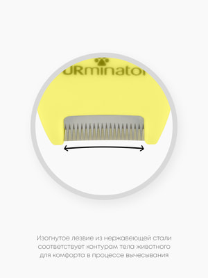 Инструменты и аксессуары FURminator Фурминатор FURminator XS для миниатюрных собак с короткой шерстью (вид 19) Инструменты и аксессуары FURminator Фурминатор FURminator XS для миниатюрных собак с короткой шерстью (фото, вид 19)