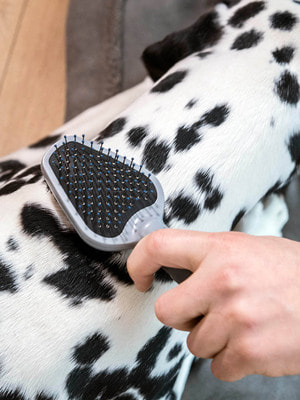    FURminator  FURminator  Dual Brush  12  (,  9)