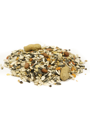   Fiory FIORY     Pappagalli 2,8  (,  10)