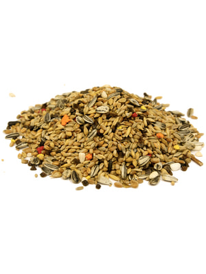   Fiory FIORY    Classic 400  (,  5)