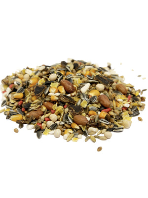   Fiory FIORY    Criceti 400  (,  5)