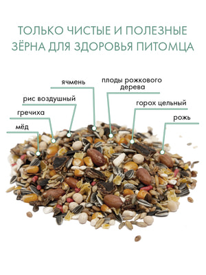   Fiory FIORY    Criceti 400  (,  9)