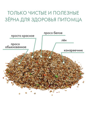 Повседневные корма Fiory FIORY корм для экзотических птиц Classic 400 г (вид 9) Повседневные корма Fiory FIORY корм для экзотических птиц Classic 400 г (фото, вид 9)