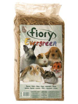   Fiory FIORY  Evergreen 1  (30 ) (,  1)
