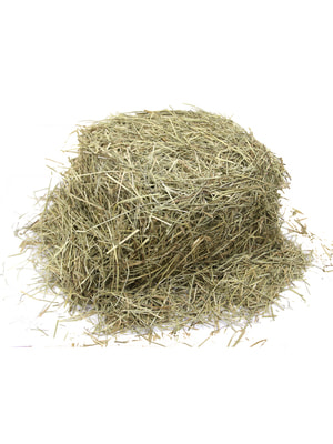   Fiory FIORY   Alpiland Green   500  (,  4)