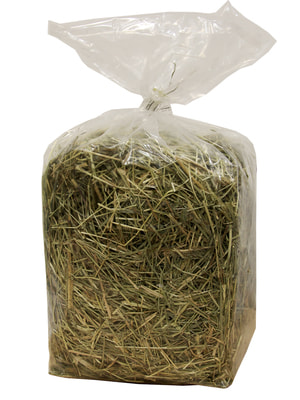   Fiory FIORY   Alpiland Green   500  (,  10)