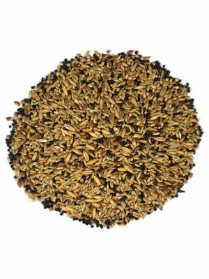 Повседневные корма Fiory FIORY корм для канареек Pet Paradise 1 кг (вид 6) Повседневные корма Fiory FIORY корм для канареек Pet Paradise 1 кг (фото, вид 6)