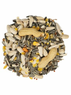 Повседневные корма Fiory FIORY корм для крупных попугаев Pet Paradise 1 кг (вид 6) Повседневные корма Fiory FIORY корм для крупных попугаев Pet Paradise 1 кг (фото, вид 6)