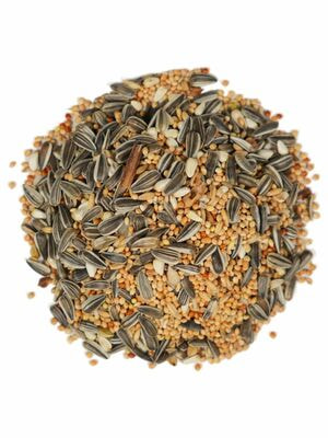 Повседневные корма Fiory FIORY корм для средних попугаев Pet Paradise 1 кг (вид 6) Повседневные корма Fiory FIORY корм для средних попугаев Pet Paradise 1 кг (фото, вид 6)