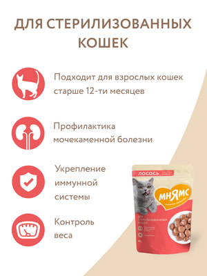 Повседневные корма Мнямс Влажный корм Мнямс Кусочки в соусе с лососем для стерилизованных кошек 85г (вид 8) Повседневные корма Мнямс Влажный корм Мнямс Кусочки в соусе с лососем для стерилизованных кошек 85г (фото, вид 8)