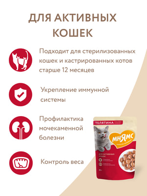 Повседневные корма Мнямс Влажный корм Мнямс Кусочки в соусе с телятиной для активных кошек 85г (вид 8) Повседневные корма Мнямс Влажный корм Мнямс Кусочки в соусе с телятиной для активных кошек 85г (фото, вид 8)