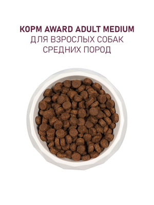 Повседневные корма Award Сухой корм AWARD для взрослых собак средних пород с индейкой и курицей с добавлением моркови и черной смородины 12кг (вид 5) Повседневные корма Award Сухой корм AWARD для взрослых собак средних пород с индейкой и курицей с добавлением моркови и черной смородины 12кг (фото, вид 5)