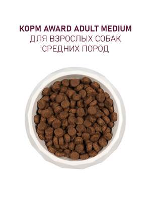   Award   AWARD                2 (,  13)