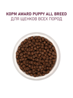   Award   AWARD    1 ,                800 (,  6)