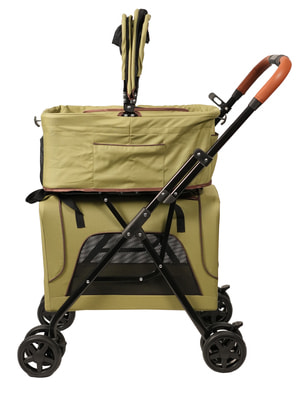  Mr.Kranch   Mr.Kranch      (.  10+10 ),  (,  18)