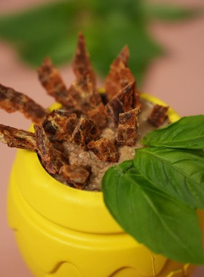 Для лакомств Mr.Kranch Игрушка Mr.Kranch для собак Горшочек меда 9*8 см желтая с ароматом сливок (вид 19) Для лакомств Mr.Kranch Игрушка Mr.Kranch для собак Горшочек меда 9*8 см желтая с ароматом сливок (фото, вид 19)