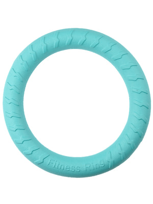 Апортировки Mr.Kranch Игрушка Mr.Kranch для собак Кольцо диаметр 28 см бирюзовая (вид 2) Апортировки Mr.Kranch Игрушка Mr.Kranch для собак Кольцо диаметр 28 см бирюзовая (фото, вид 2)