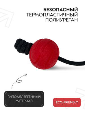 Апортировки Mr.Kranch Игрушка Mr.Kranch для собак Мяч на шнуре 6 см красная (вид 2) Апортировки Mr.Kranch Игрушка Mr.Kranch для собак Мяч на шнуре 6 см красная (фото, вид 2)