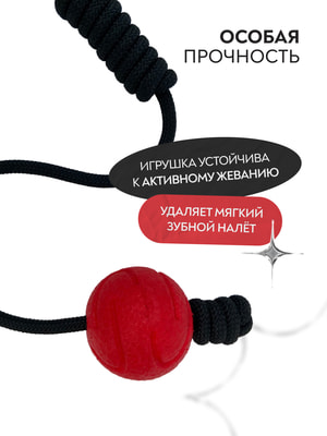 Апортировки Mr.Kranch Игрушка Mr.Kranch для собак Мяч на шнуре 6 см красная (вид 3) Апортировки Mr.Kranch Игрушка Mr.Kranch для собак Мяч на шнуре 6 см красная (фото, вид 3)