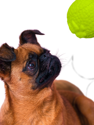  Mr.Kranch  Mr.Kranch      8    (,  6)