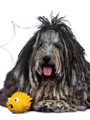 Для лакомств Mr.Kranch Игрушка Mr.Kranch для собак Рыба-ёрш 12 см желтая с ароматом сливок (вид 14) Для лакомств Mr.Kranch Игрушка Mr.Kranch для собак Рыба-ёрш 12 см желтая с ароматом сливок (фото, вид 14)