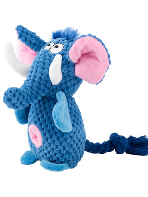 Mr.Kranch  Mr.Kranch    21*15   (,  2)