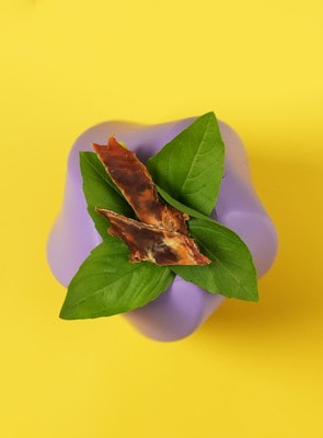 Для лакомств Mr.Kranch Игрушка Mr.Kranch для собак Твистер 8*8 см фиолетовая с ароматом сливок (вид 7) Для лакомств Mr.Kranch Игрушка Mr.Kranch для собак Твистер 8*8 см фиолетовая с ароматом сливок (фото, вид 7)