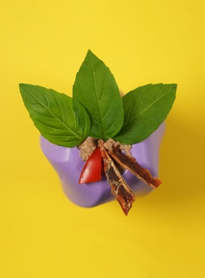 Для лакомств Mr.Kranch Игрушка Mr.Kranch для собак Твистер 8*8 см фиолетовая с ароматом сливок (вид 17) Для лакомств Mr.Kranch Игрушка Mr.Kranch для собак Твистер 8*8 см фиолетовая с ароматом сливок (фото, вид 17)