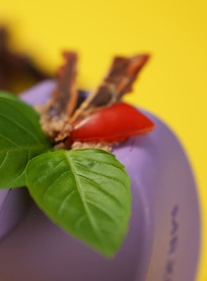 Для лакомств Mr.Kranch Игрушка Mr.Kranch для собак Твистер 8*8 см фиолетовая с ароматом сливок (вид 18) Для лакомств Mr.Kranch Игрушка Mr.Kranch для собак Твистер 8*8 см фиолетовая с ароматом сливок (фото, вид 18)