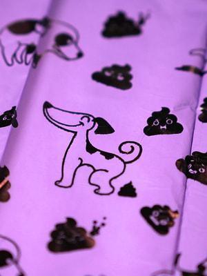    Mr.Kranch   Mr.Kranch    4   15  (22x33 ),  (,  9)