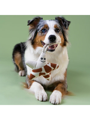 Для совместной игры Mr.Kranch Игрушка Mr.Kranch для собак мелких и средних пород Звездочка с канатом и пищалкой 26х16х5см, бежево-пятнистая (вид 2) Для совместной игры Mr.Kranch Игрушка Mr.Kranch для собак мелких и средних пород Звездочка с канатом и пищалкой 26х16х5см, бежево-пятнистая (фото, вид 2)