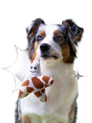 Для совместной игры Mr.Kranch Игрушка Mr.Kranch для собак мелких и средних пород Звездочка с канатом и пищалкой 26х16х5см, бежево-пятнистая (вид 12) Для совместной игры Mr.Kranch Игрушка Mr.Kranch для собак мелких и средних пород Звездочка с канатом и пищалкой 26х16х5см, бежево-пятнистая (фото, вид 12)