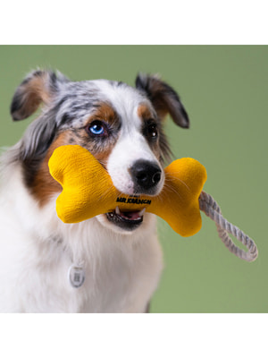 Для совместной игры Mr.Kranch Игрушка Mr.Kranch для собак мелких и средних пород Косточка с канатом 31х9х4см, желтая (вид 1) Для совместной игры Mr.Kranch Игрушка Mr.Kranch для собак мелких и средних пород Косточка с канатом 31х9х4см, желтая (фото, вид 1)