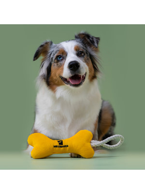 Для совместной игры Mr.Kranch Игрушка Mr.Kranch для собак мелких и средних пород Косточка с канатом 31х9х4см, желтая (вид 2) Для совместной игры Mr.Kranch Игрушка Mr.Kranch для собак мелких и средних пород Косточка с канатом 31х9х4см, желтая (фото, вид 2)