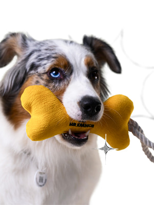 Для совместной игры Mr.Kranch Игрушка Mr.Kranch для собак мелких и средних пород Косточка с канатом 31х9х4см, желтая (вид 6) Для совместной игры Mr.Kranch Игрушка Mr.Kranch для собак мелких и средних пород Косточка с канатом 31х9х4см, желтая (фото, вид 6)