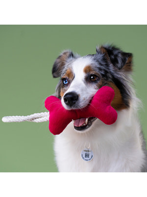 Для совместной игры Mr.Kranch Игрушка Mr.Kranch для собак мелких и средних пород Косточка с канатом 31х9х4см, ярко розовая (вид 7) Для совместной игры Mr.Kranch Игрушка Mr.Kranch для собак мелких и средних пород Косточка с канатом 31х9х4см, ярко розовая (фото, вид 7)